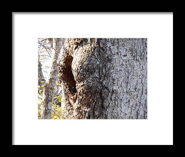 Owl Framed Print featuring the photograph Can You See Me Now? by Diannah Lynch