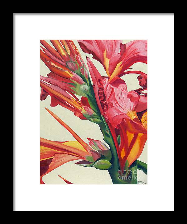 Canna Lily Framed Print featuring the painting Canna Lily by Annette M Stevenson