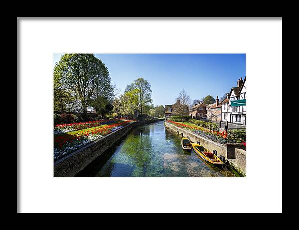 Flowerbed Framed Print featuring the photograph Canterbury Canal by NeonJellyfish