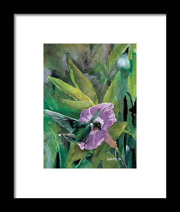 Bird Framed Print featuring the painting Cap Tourmente Hummingbird by Steve Hamlin