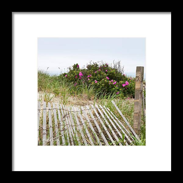 Cape Cod Beach Roses Framed Print featuring the photograph Cape Cod Beach Roses by Michelle Constantine