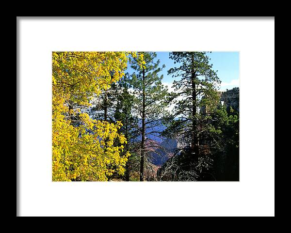 Angel Arch Framed Print featuring the photograph Cape Royal Grand Canyon by Ed Riche