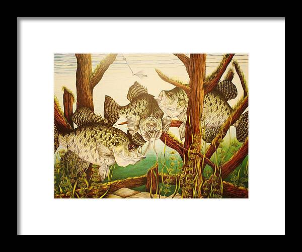 Fishing Framed Print featuring the drawing Captivating Crappies by Bruce Bley