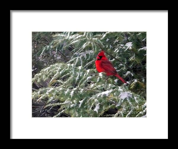 Cardinal Framed Print featuring the digital art Cardinal in Snow by Jayne Carney