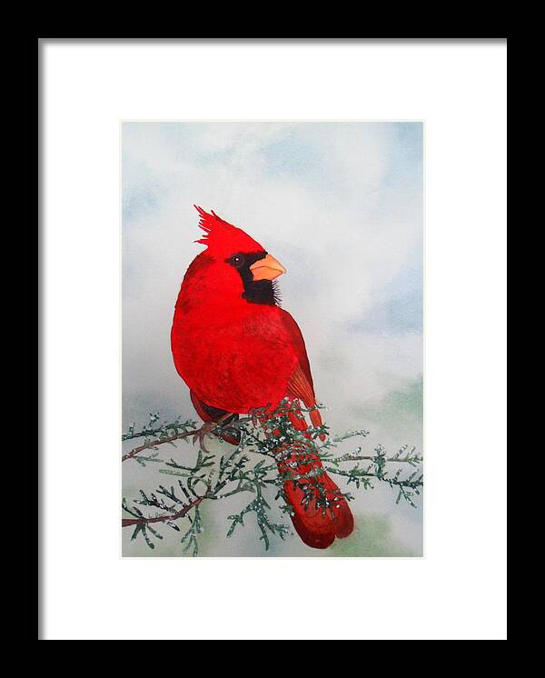 Red Framed Print featuring the painting Cardinal by Laurel Best