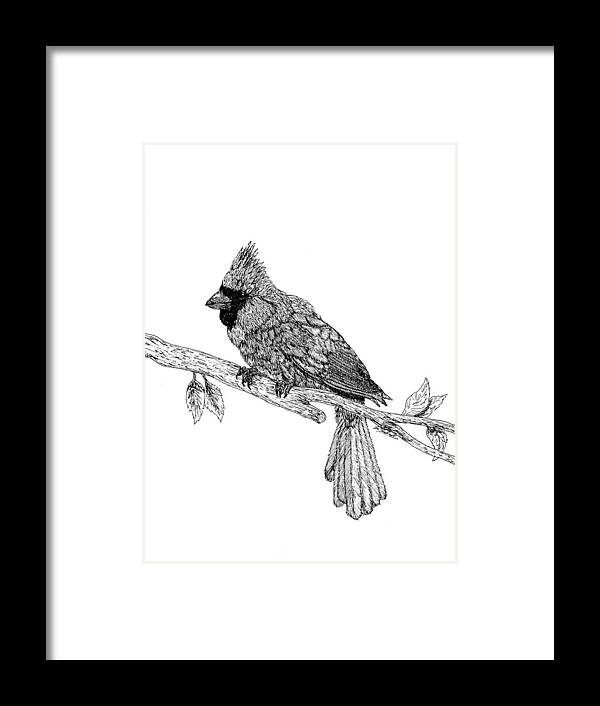 Pen Framed Print featuring the drawing Cardinal by Lee Halbrook