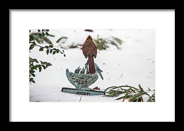 Nature Photography Framed Print featuring the photograph Cardinal on a Winter Day III by Michael Whitaker