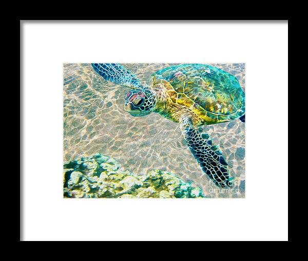 Caribbean Sea Turtle Framed Print featuring the mixed media Beautiful Sea Turtle by Jon Neidert