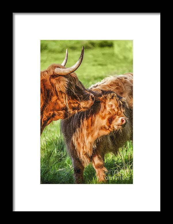 Highland Cow Framed Print featuring the digital art Caring Mother by Liz Leyden
