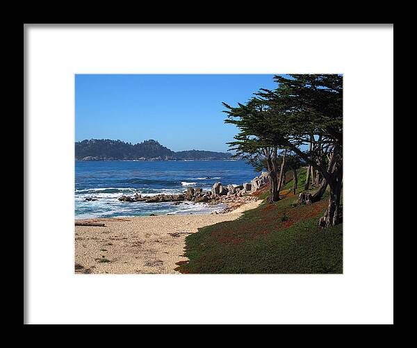 Carmel Framed Print featuring the photograph Carmel River Beach by Derek Dean