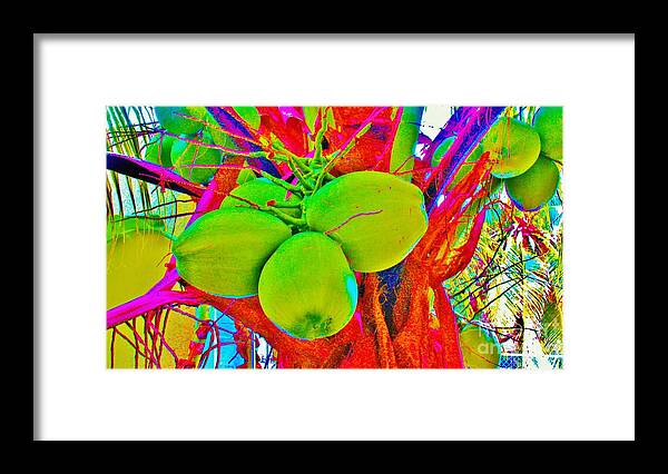 Kerisart Framed Print featuring the photograph Carmen's Coconuts by Keri West