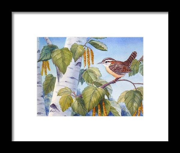 Carolina Wren Painting Framed Print featuring the painting Carolina Wren in a Birch Tree by Janet Zeh