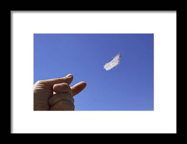 Feather Framed Print featuring the photograph Carried on Wind by Jason Politte