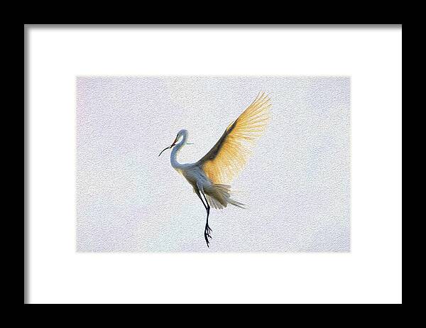 Egret Framed Print featuring the photograph Carrying the Twig by Ola Allen