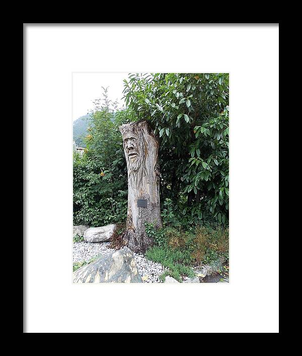 Carved Framed Print featuring the photograph Carved Tree by Nina Kindred