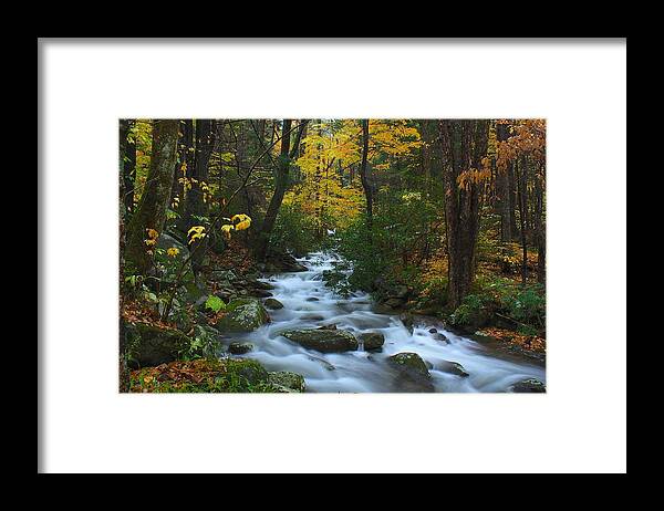 Art Prints Framed Print featuring the photograph Cascades on the Motor Nature Trail by Nunweiler Photography