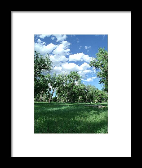 Trees Framed Print featuring the photograph Casting Shadows by Jessica Myscofski