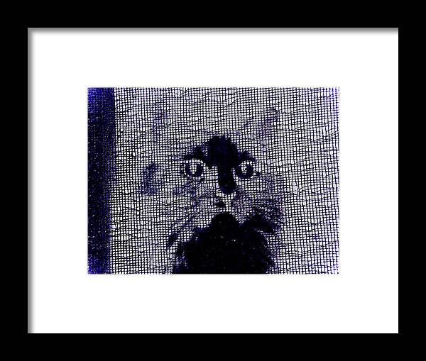 Abstract Framed Print featuring the photograph Cat 2 by Lenore Senior