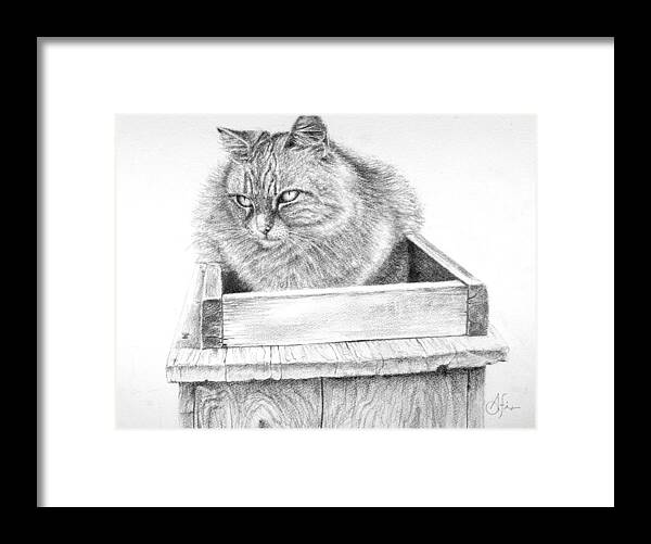 Cat Framed Print featuring the drawing Cat on a Box by Arthur Fix