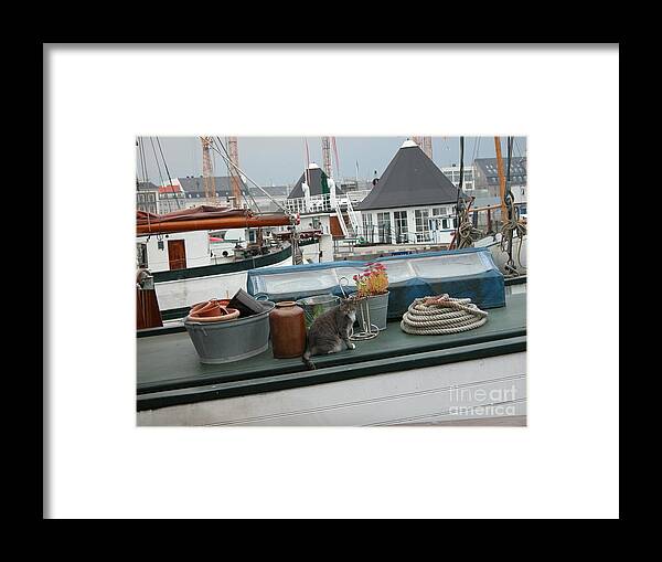 Cats Framed Print featuring the photograph Cat on Boat by Jim Goodman