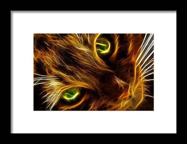 Cat Framed Print featuring the photograph Cat with sad eyes by Lilia S