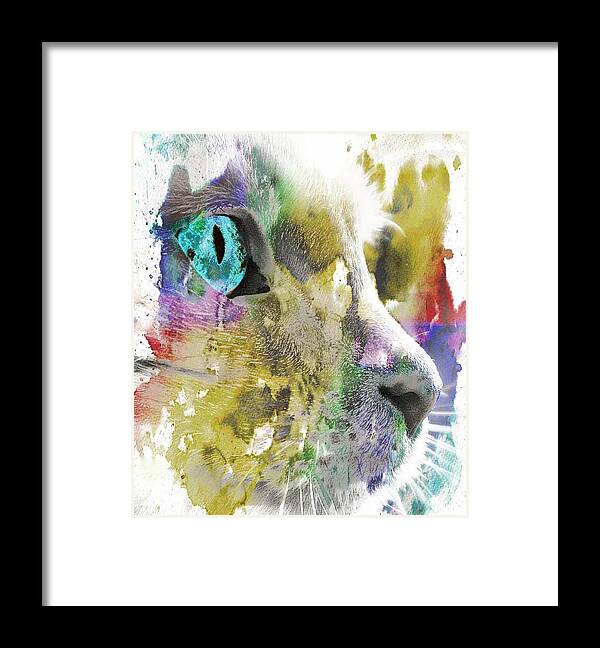Cat Framed Print featuring the photograph Cat's Eye Abstract by Virginia Folkman