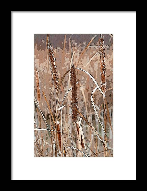 Autumn Framed Print featuring the photograph Cattails in the Fall by Rob Huntley