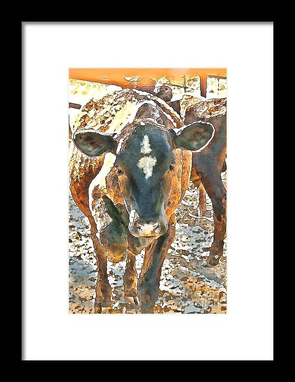 Cow Art Framed Print featuring the photograph Cattle Round Up by Artist and Photographer Laura Wrede