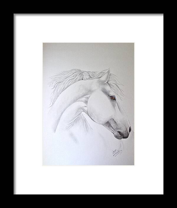 Horse. Horse Art Framed Print featuring the drawing Cavallo by Joette Snyder