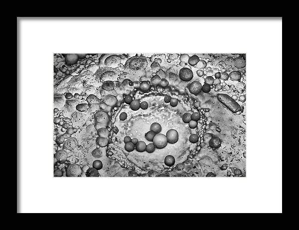 Ansel Framed Print featuring the photograph Cave Pearls in Black and White by Melany Sarafis