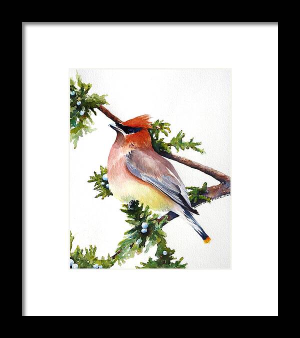 Cedar Waxwing Framed Print featuring the painting Cedar Waxwing by Brenda Beck Fisher