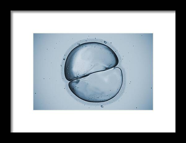 Stem Cell Framed Print featuring the photograph Cell by Ugurhan