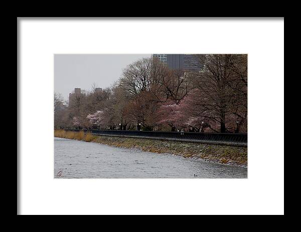 Central Park Framed Print featuring the photograph Central Park 4 by Chris Thomas