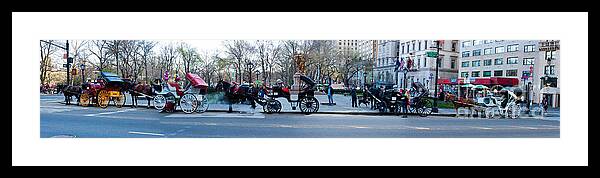Animal Framed Print featuring the photograph Central Park Horse Carriage Station Panorama by Thomas Marchessault