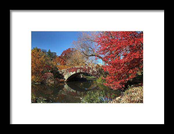 Central Park Framed Print featuring the photograph Central Park in the Fall-1 by Steven Spak