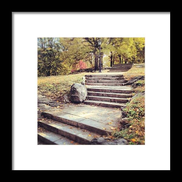 Framed Print featuring the photograph Central Park Stroll 2 by Randy Lemoine