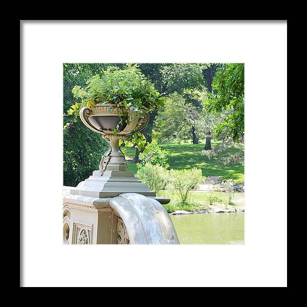 Urban Framed Print featuring the photograph Central Park.

#summertime #newyork by Eve Tamminen