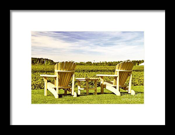 Vineyard Framed Print featuring the photograph Chairs overlooking vineyard by Elena Elisseeva