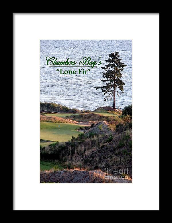 2015 Us Open Framed Print featuring the photograph Chambers Bay's Lone Fir - Chambers Bay Golf Course by Chris Anderson