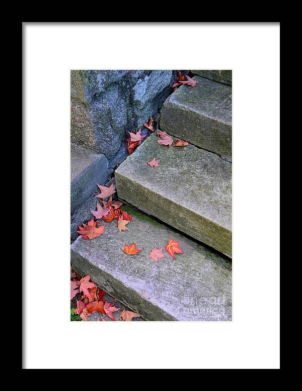 Autumn Framed Print featuring the photograph Change on the Front Porch Steps by Joanne West
