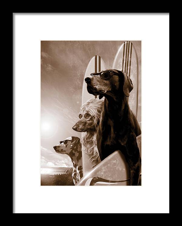 Animal Framed Print featuring the photograph Changes by MGL Meiklejohn Graphics Licensing