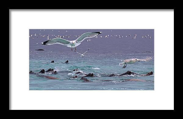 Marine Framed Print featuring the photograph Chaos by Randy Hall