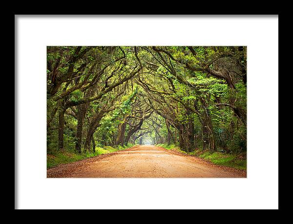 #faatoppicks Framed Print featuring the photograph Charleston SC Edisto Island - Botany Bay Road by Dave Allen