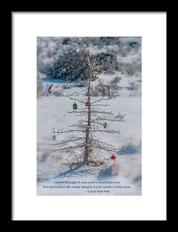 Architectural Framed Print featuring the photograph Charlie Brown Christmas Tree by Lou Novick