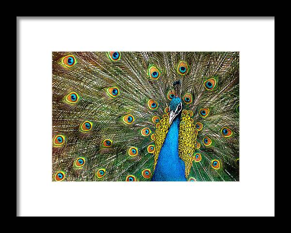 #faatoppicks Framed Print featuring the photograph Charming by Ivan Vukelic