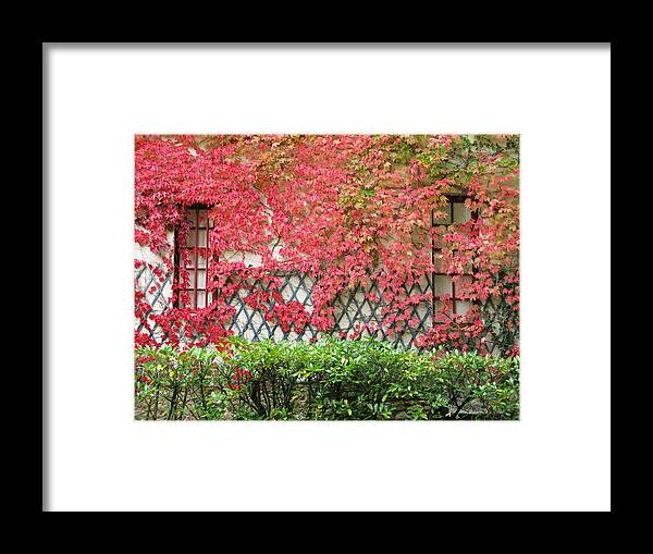 Fall Leaves Framed Print featuring the photograph Chateau Chenonceau Vines on Wall Image One by Randi Kuhne