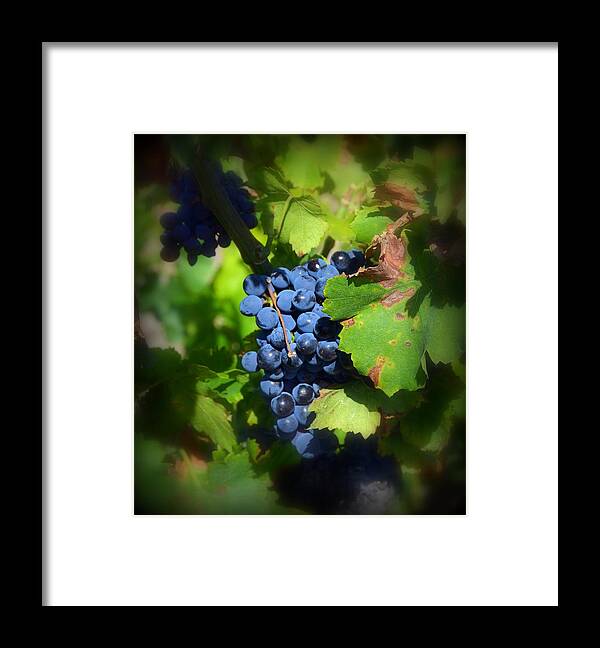 Chateauneuf Framed Print featuring the photograph Chateauneuf du Pape Hidden Treasure by Carla Parris