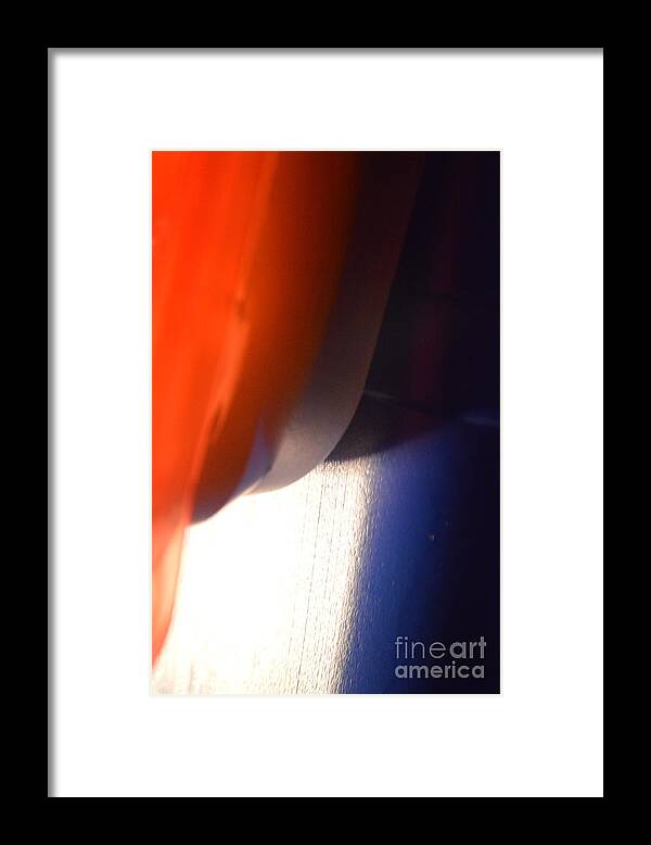 Cheeky Framed Print featuring the photograph Cheeky but in patriotic colous by Brian Boyle