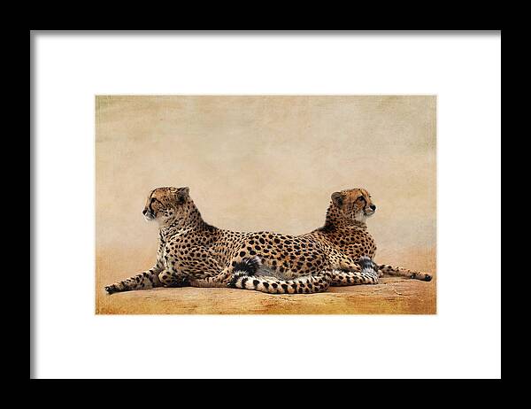 Cheetah Framed Print featuring the mixed media Cheetah by Heike Hultsch