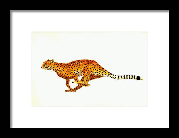 Wildlife Framed Print featuring the painting Cheetah by Michael Vigliotti